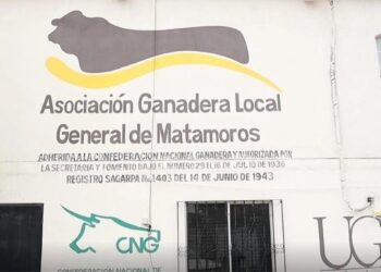 sector ganadero en Matamoros