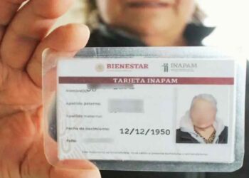 tarjeta INAPAM internet