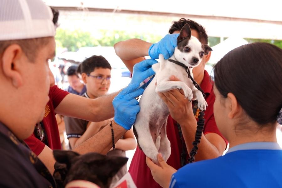 vacunación desparasitación mascotas Nuevo Laredo
