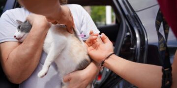 vacunación desparasitación mascotas Nuevo Laredo