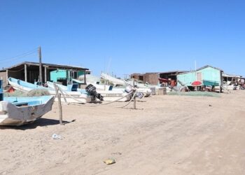 veda federal camarones Matamoros