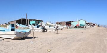 veda federal camarones Matamoros