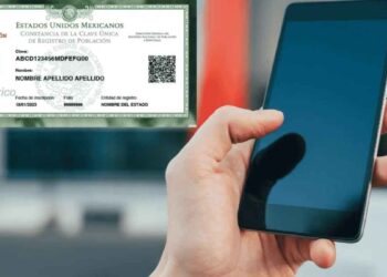 número celular verificar CURP