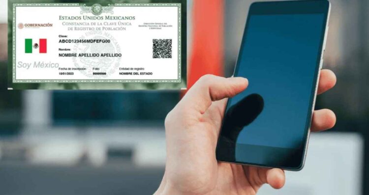 número celular verificar CURP