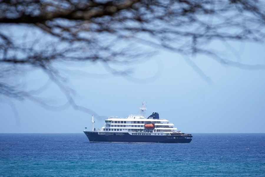 ¿Hay riesgo mundial por el brote de hantavirus en el crucero MV Hondius