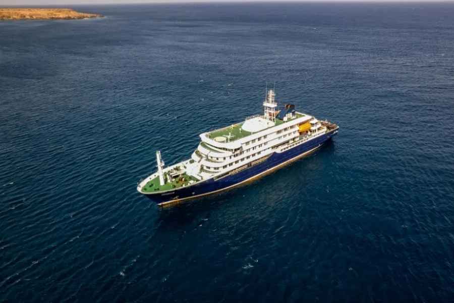 ¿Qué es el hantavirus y cómo pudo propagarse en el crucero MV Hondius