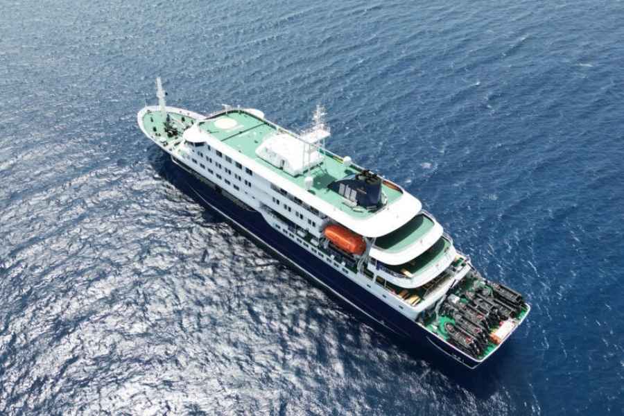 ¿Qué se sabe del brote de hantavirus que afecta a un crucero con 150 personas en el Atlántico