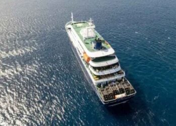 ¿Qué se sabe del brote de hantavirus que afecta a un crucero con 150 personas en el Atlántico?