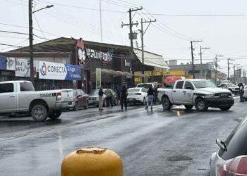 La Gallina Dorada apoyo solidario