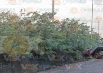 Auto termina entre la maleza en corredor de Altamira, Tamaulipas