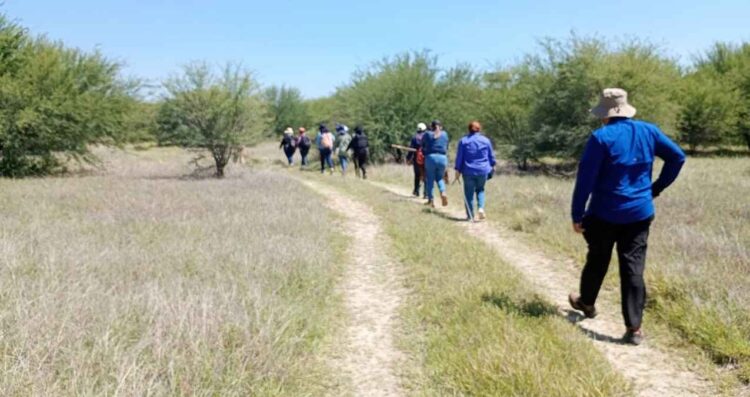CODHET acompaña jornada de madres buscadoras en Ciudad Victoria, Tamaulipas