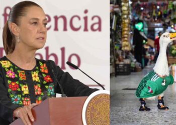 Claudia Sheinbaum invita al Pato 'Merlín' a la “mañanera” tras volverse viral durante el Mundial 2026