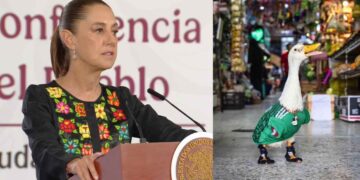 Claudia Sheinbaum invita al Pato 'Merlín' a la “mañanera” tras volverse viral durante el Mundial 2026