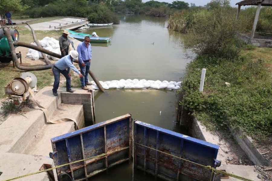 Conagua peces en El Camalote en Tamaulipas