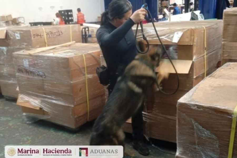 Decomisan más de un millón de cigarrillos ilegales en AICM de Ciudad de México