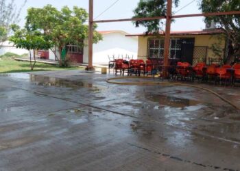 Estudiantes y maestros son atacados por un enjambre de abejas en Altamira, Tamaulipas