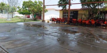 Estudiantes y maestros son atacados por un enjambre de abejas en Altamira, Tamaulipas