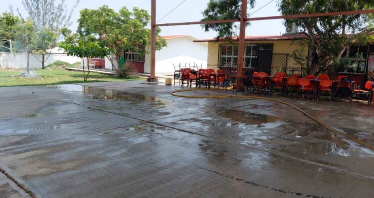 Estudiantes y maestros son atacados por un enjambre de abejas en Altamira, Tamaulipas