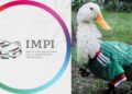 Familia de Carla Ivette Gómez conserva derechos del 'Pato Merlín', informa el IMPI