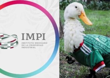 Familia de Carla Ivette Gómez conserva derechos del 'Pato Merlín', informa el IMPI