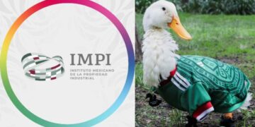 Familia de Carla Ivette Gómez conserva derechos del 'Pato Merlín', informa el IMPI