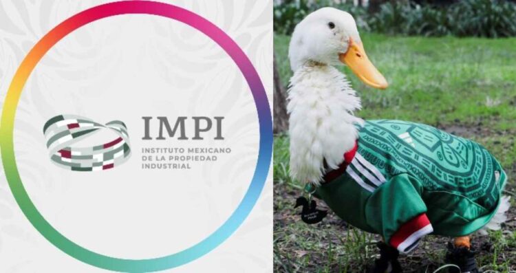 Familia de Carla Ivette Gómez conserva derechos del 'Pato Merlín', informa el IMPI