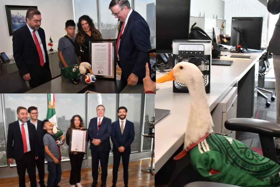 IMPI confirma que el 'Pato Merlín' es marca registrada y entrega constancia oficial a su dueña