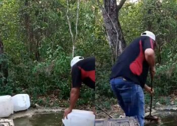 Instalan bebederos para fauna silvestre ante calor intenso en El Cielo, Tamaulipas