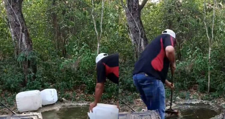 Instalan bebederos para fauna silvestre ante calor intenso en El Cielo, Tamaulipas