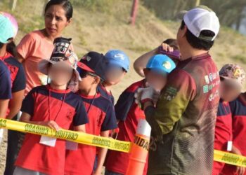 Liberan crías de tortuga lora niñas y niños de Güémez