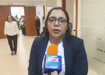 Lucero Deosdady niega nuevo impuesto a paneles solares en Tamaulipas