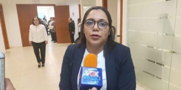 Lucero Deosdady niega nuevo impuesto a paneles solares en Tamaulipas