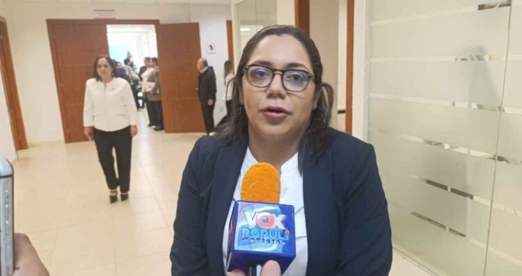 Lucero Deosdady niega nuevo impuesto a paneles solares en Tamaulipas
