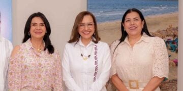 Mónica Villarreal Dengue sur