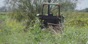 trabajador agrícola tractor Río Bravo