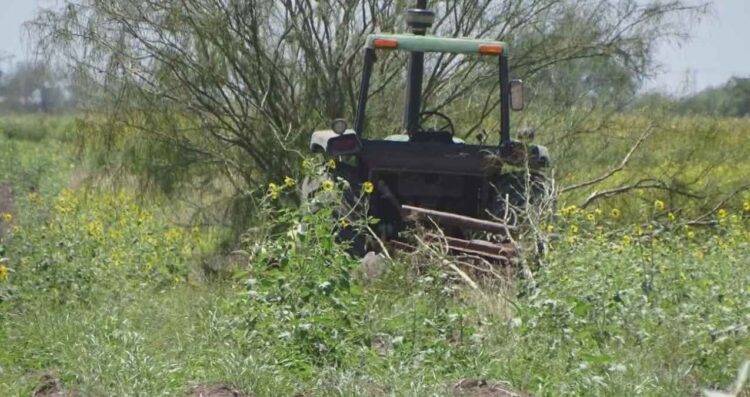 trabajador agrícola tractor Río Bravo