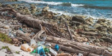 PAN México materia ambiental