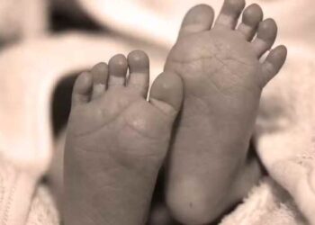 PRI licencia de paternidad
