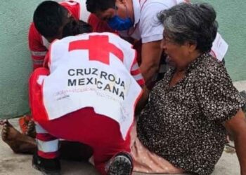 mujer perros heridas El Mante