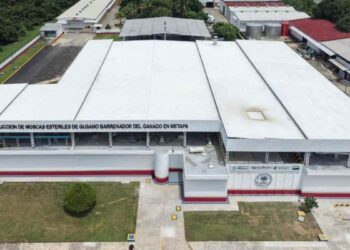 Planta binacional en Chiapas