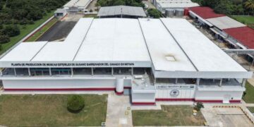Planta binacional en Chiapas