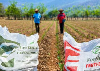 Sader Programa de Fertilizantes