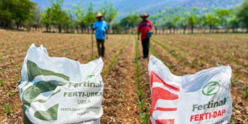 Sader Programa de Fertilizantes
