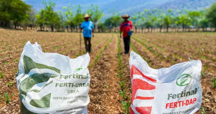 Sader Programa de Fertilizantes