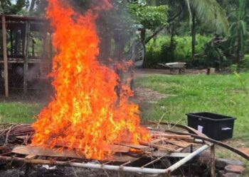 Secretaría de Marina desactiva artefactos explosivos asegurados en Tabasco