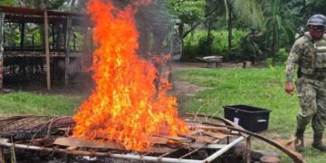 Secretaría de Marina desactiva artefactos explosivos asegurados en Tabasco