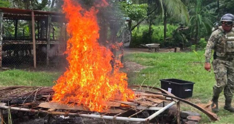 Secretaría de Marina desactiva artefactos explosivos asegurados en Tabasco