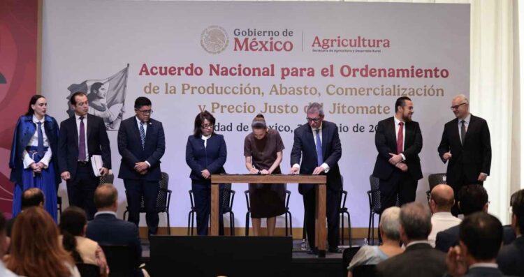 Sheinbaum precio del jitomate