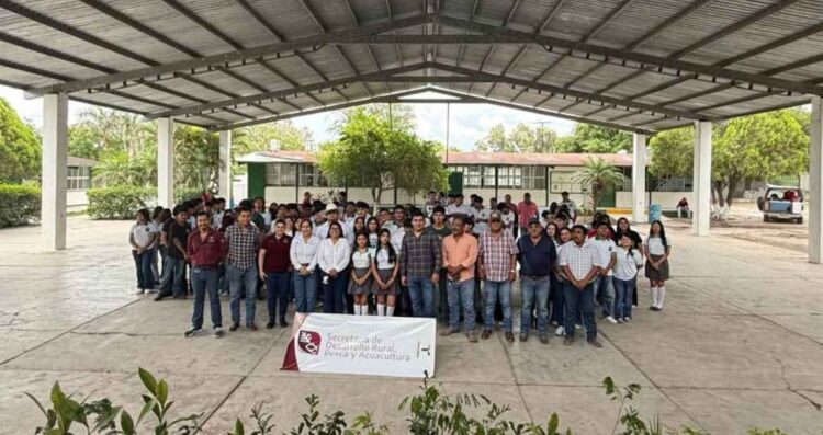 Tamaulipas reforestación escolar