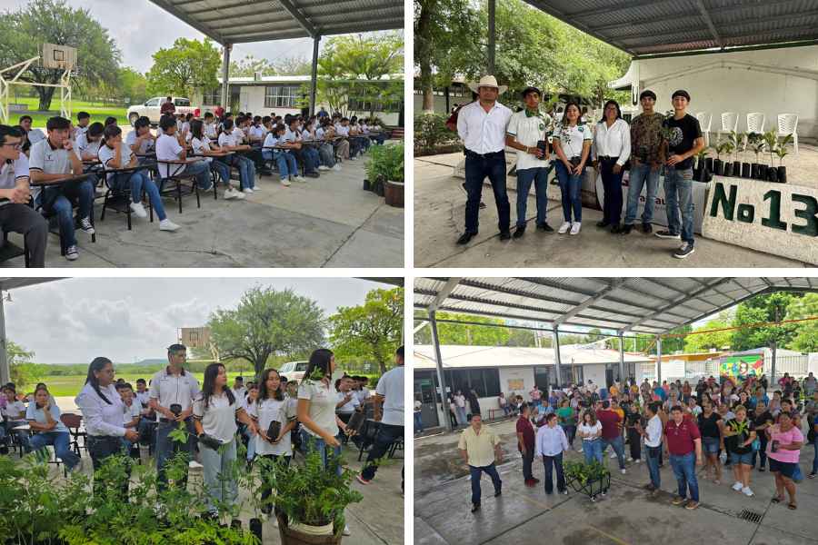 Tamaulipas reforestación escolar (1)